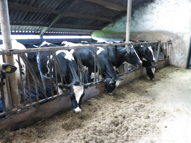 HWK Wekerom014.jpg